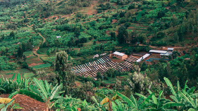Bild von Bumbogo