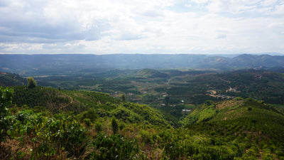 Bild von Zanya Coffee