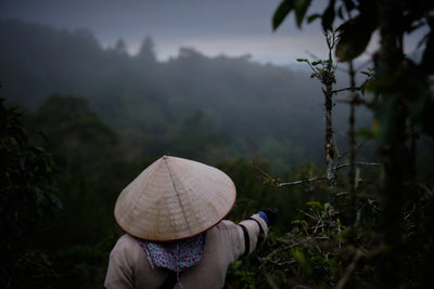 Bild von Lộc Rừng