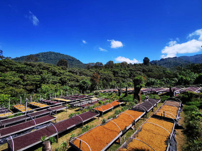 Bild von San Antonio