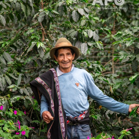 Americo Palomino